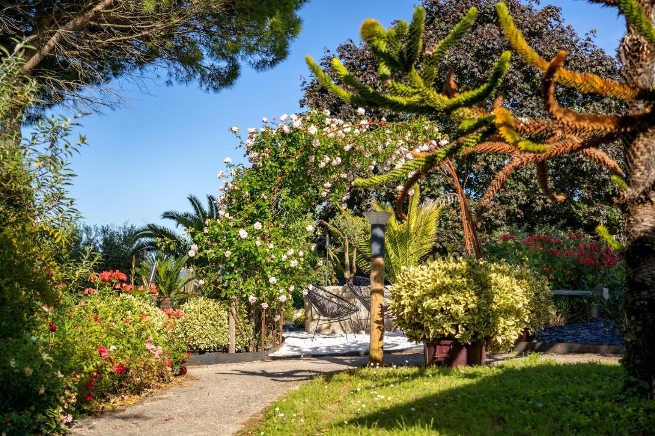 Bed and Breakfast Le Bassin Du Tertre Fronsac  Exterior foto
