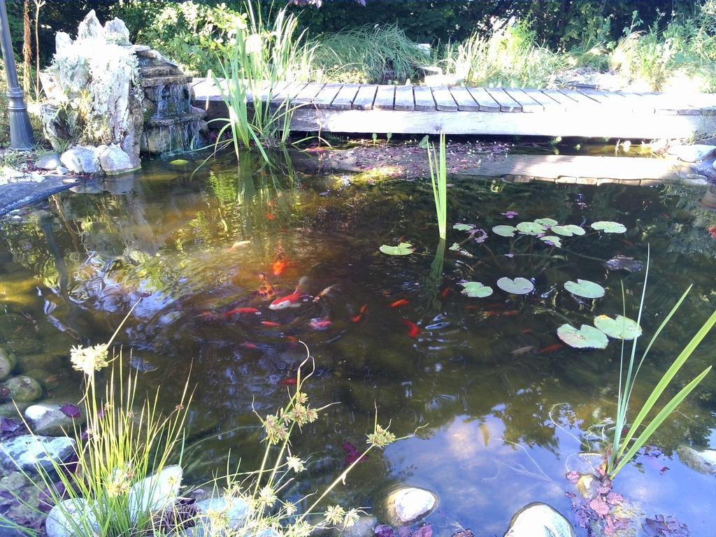 Bed and Breakfast Le Bassin Du Tertre Fronsac  Exterior foto